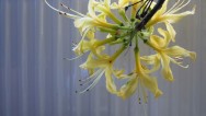 20120507
