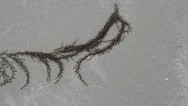 20120519